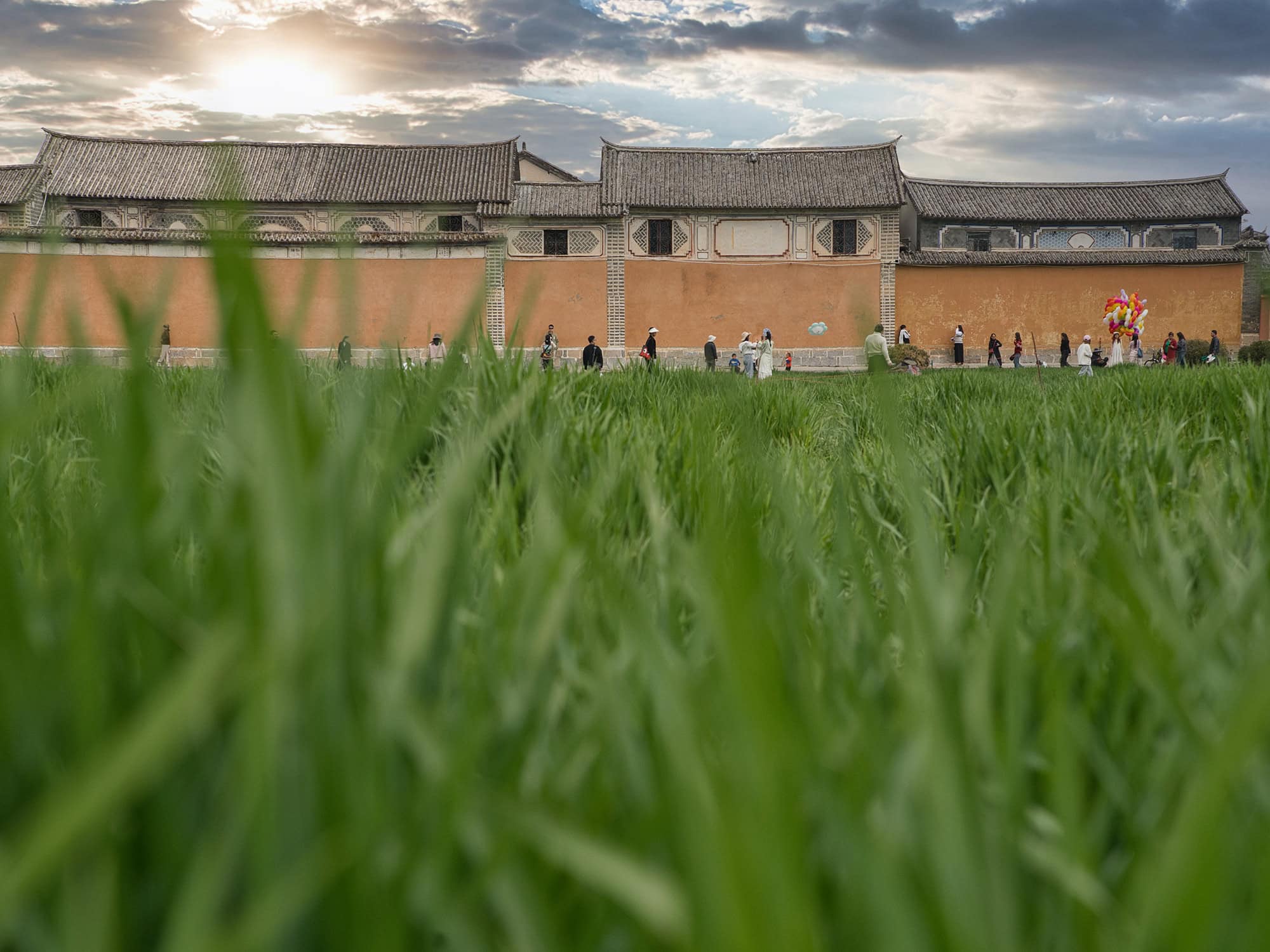 Rice fields with traditional earthen walls in the distance at Xizhou Ancient Town