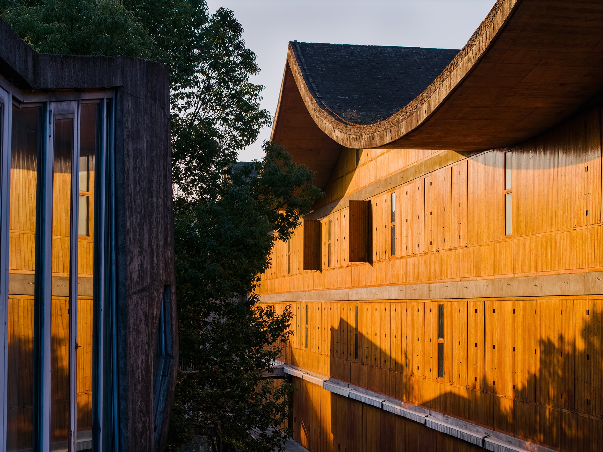 Late-afternoon sunlight casts warm tones on a teaching building at Xiangshan Campus China Academy of Art