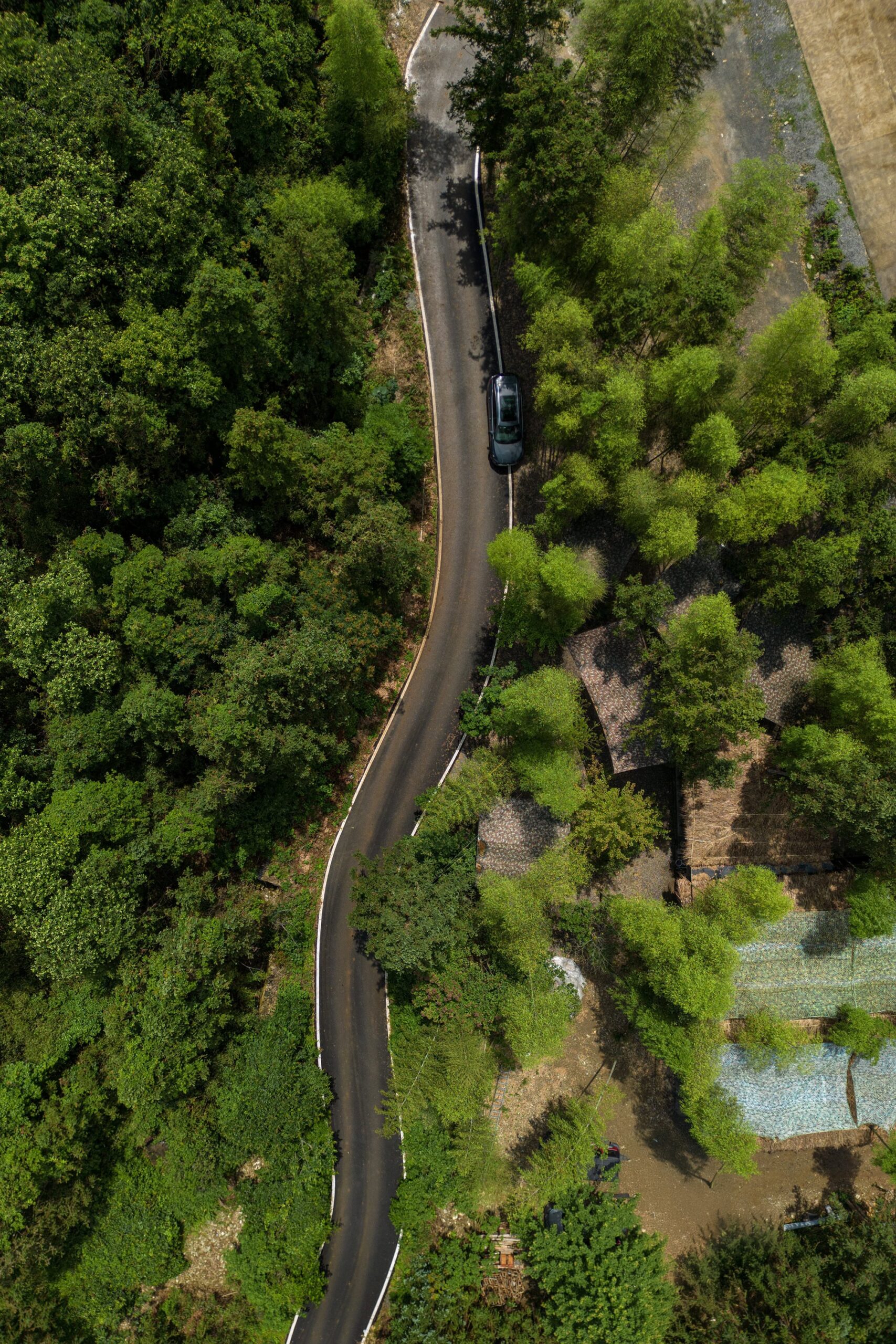 Aerial view of the winding road leading to Bingding Wood Kiln surrounded by lush greenery