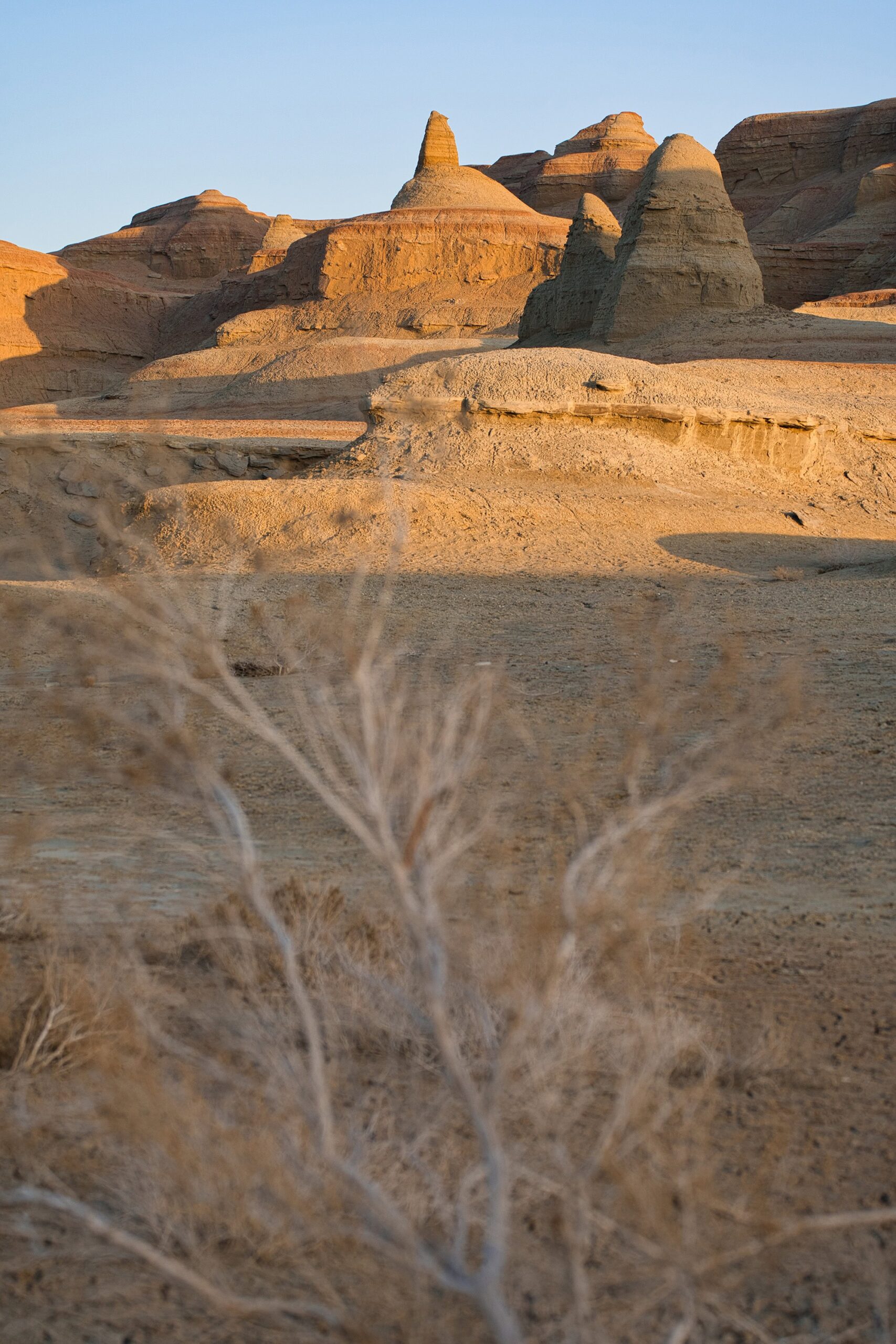 Desert shrubs and alien-like Yardang formations at Xinjiang Ghost City, highlighting the surreal beauty of Devil City Xinjiang at sunset
