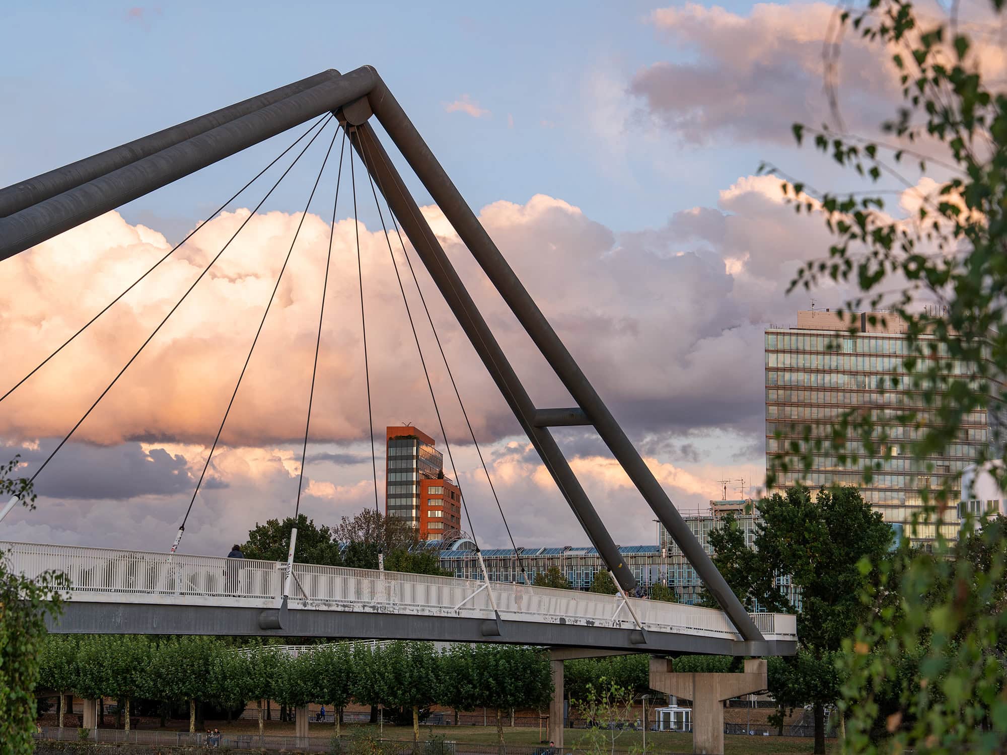 A pedestrian bridge at Düsseldorf’s Media Harbor during sunset, framed by trees and modern buildings
