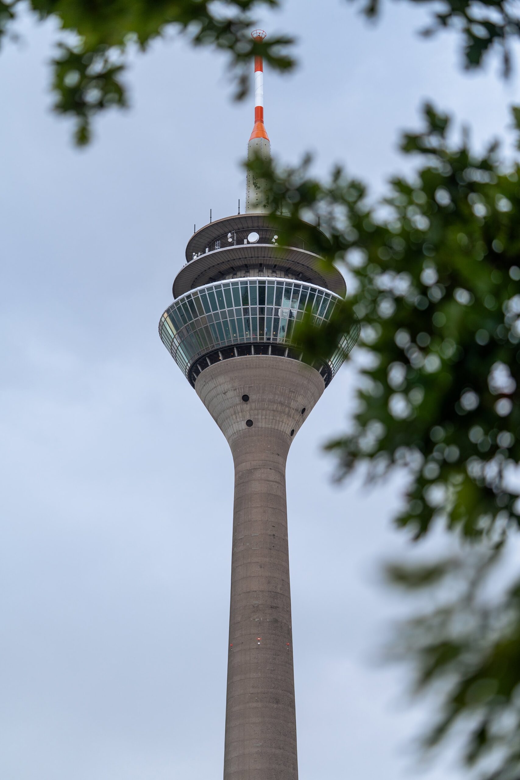Close‑up view of the Rheinturm Tower framed by tree branches in Duesseldorf