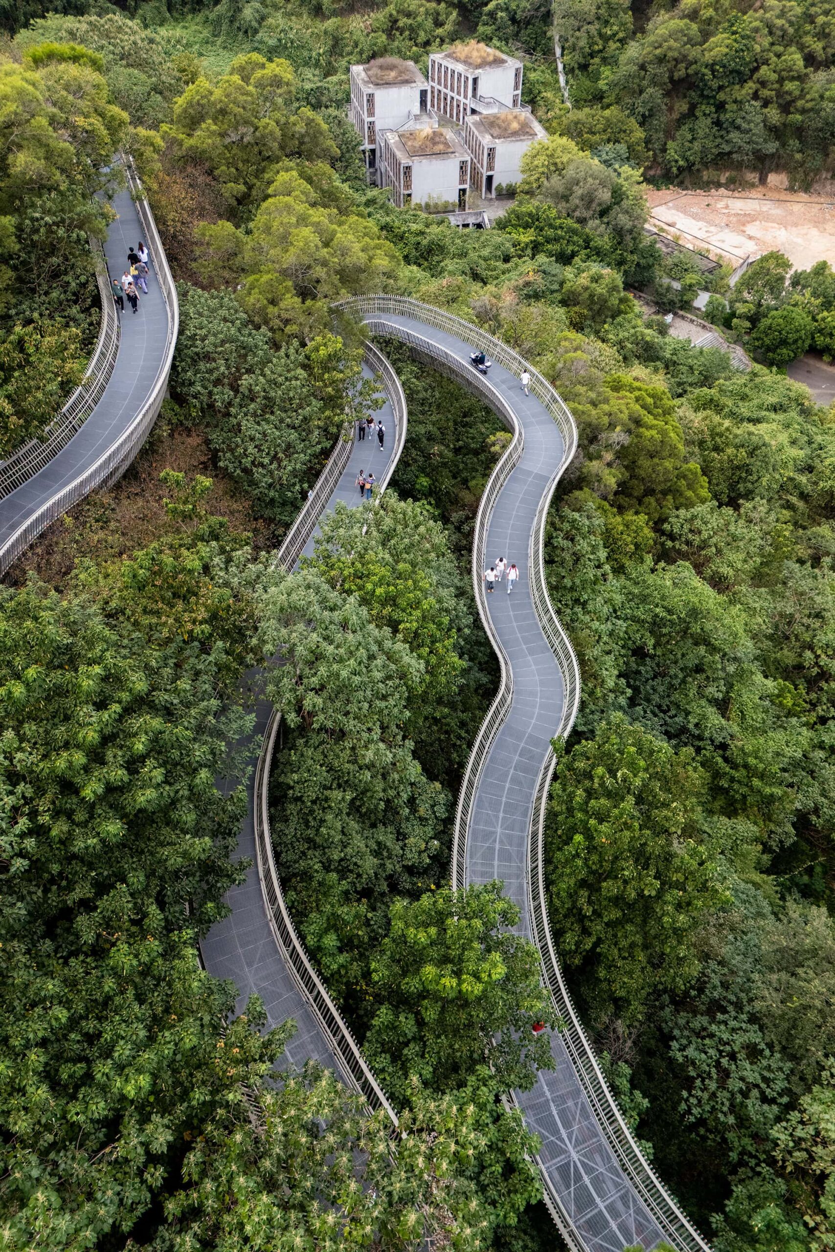 Curving elevated paths of the Fudao Skywalk surrounded by dense trees, offering panoramic views and an energizing stroll among top Fuzhou attractions
