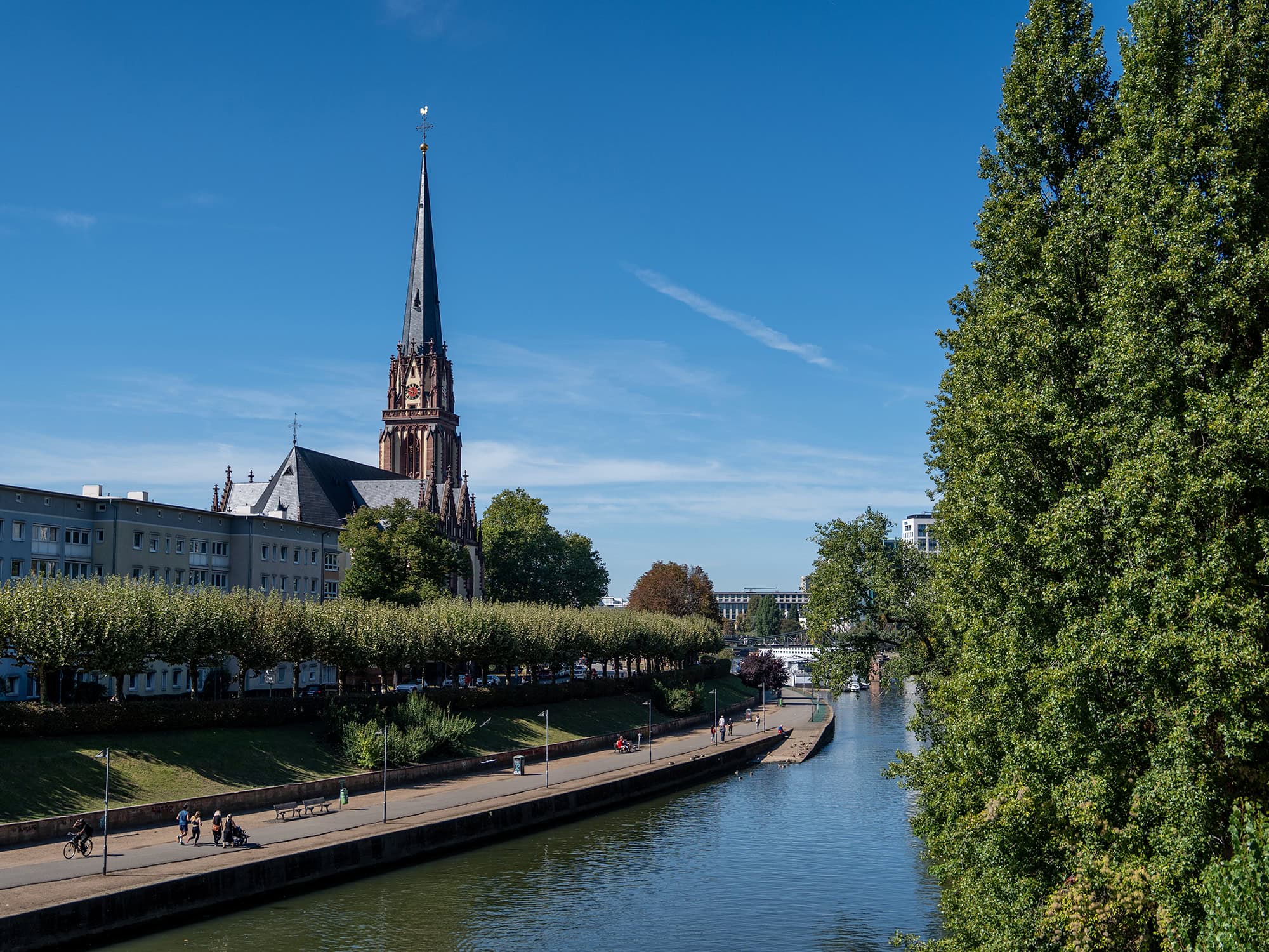 Dreikönigskirche framed by trees and reflected in the calm waters of the Main River