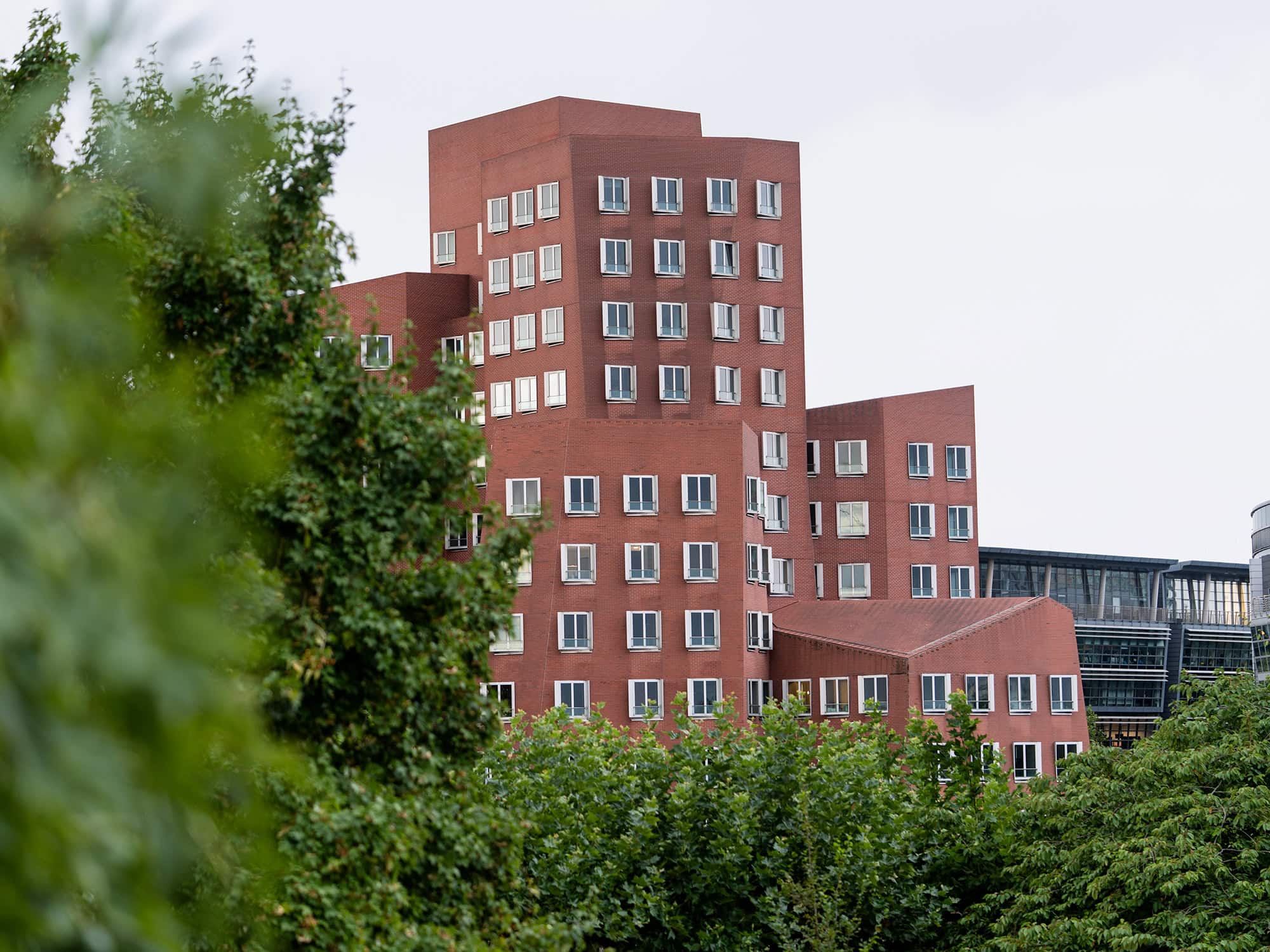 Iconic red-brick architecture of Neuer Zollhof Düsseldorf