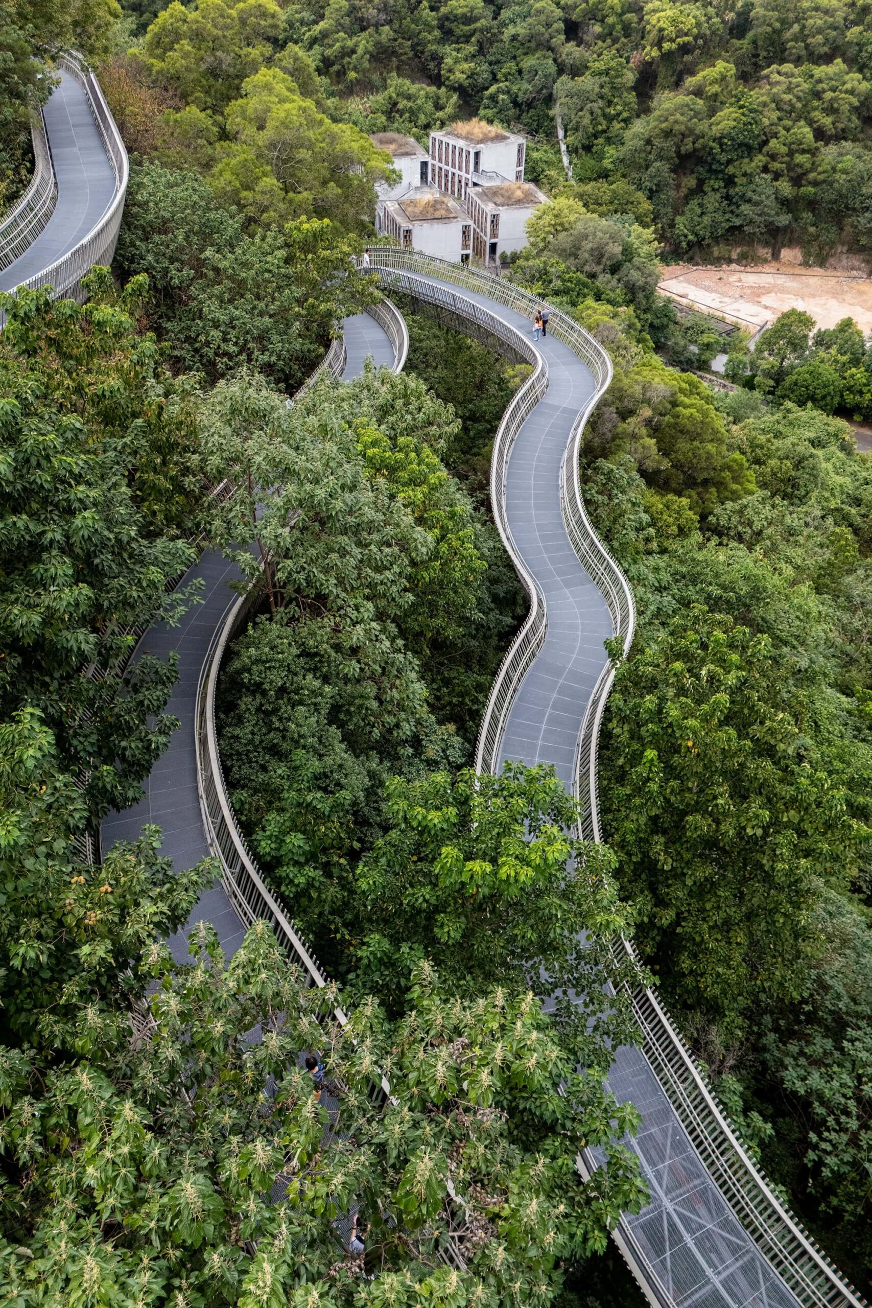 Overhead photo of interconnected walkways cutting through forested hills on the Fudao Skywalk
