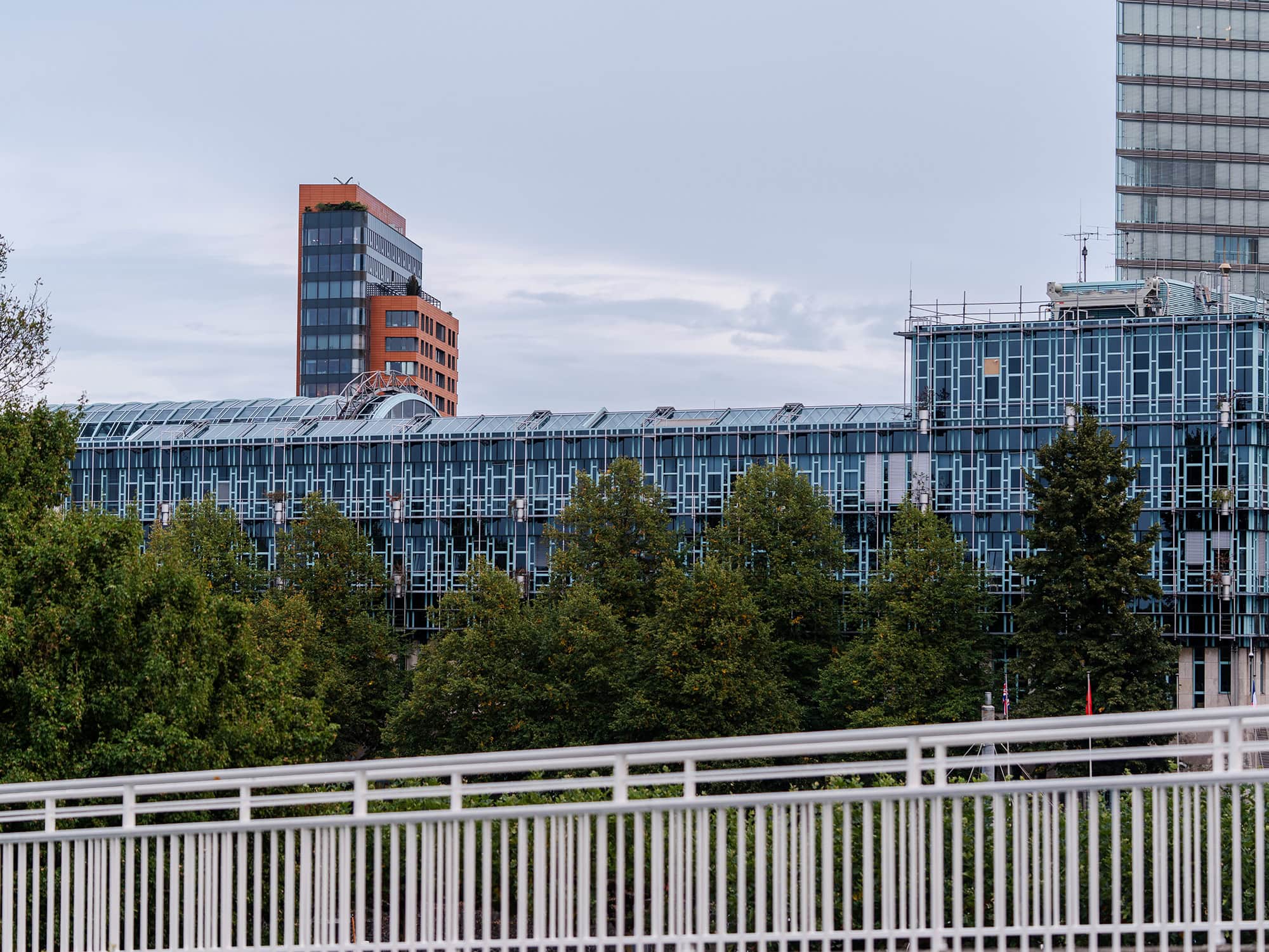 Sleek glass buildings rise beyond the promenade, capturing the vibrant rhythm of Düsseldorf’s riverfront architecture and its contemporary skyline