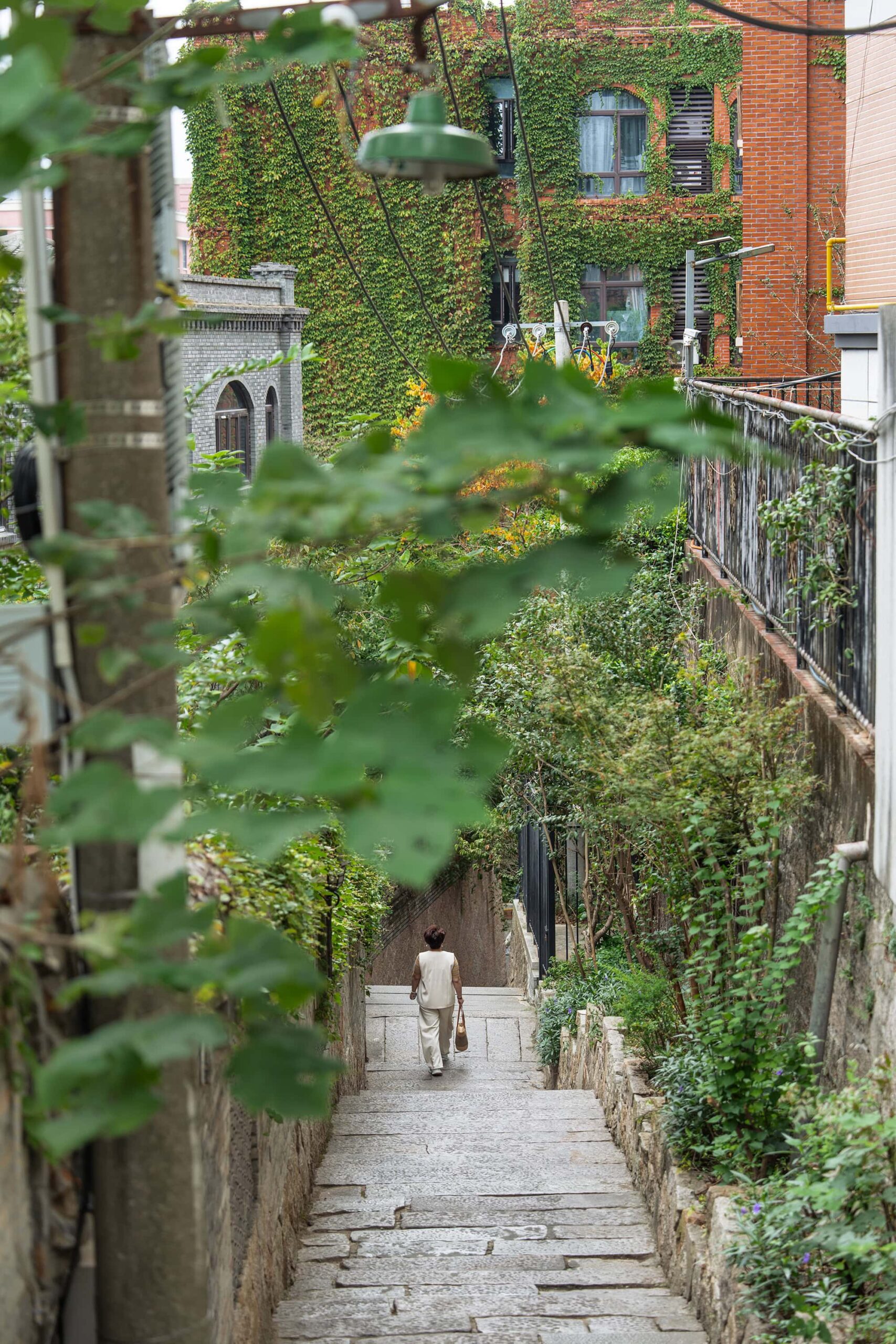 Stone staircase descending through lush greenery on Yantai Hill