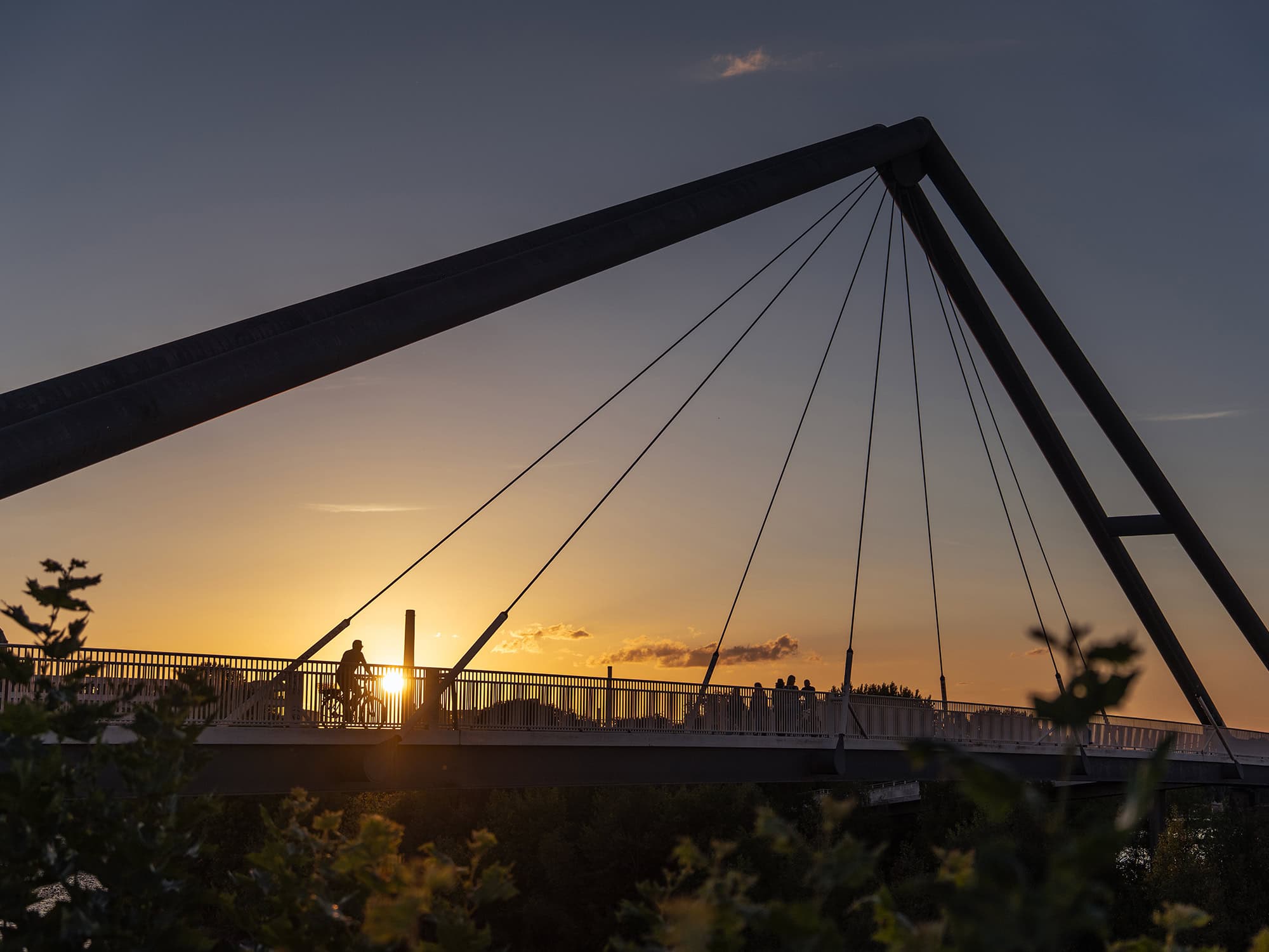 The Brücke am Medienhafen glows against golden skies, connecting the creative quarter to the Rhine Harbor