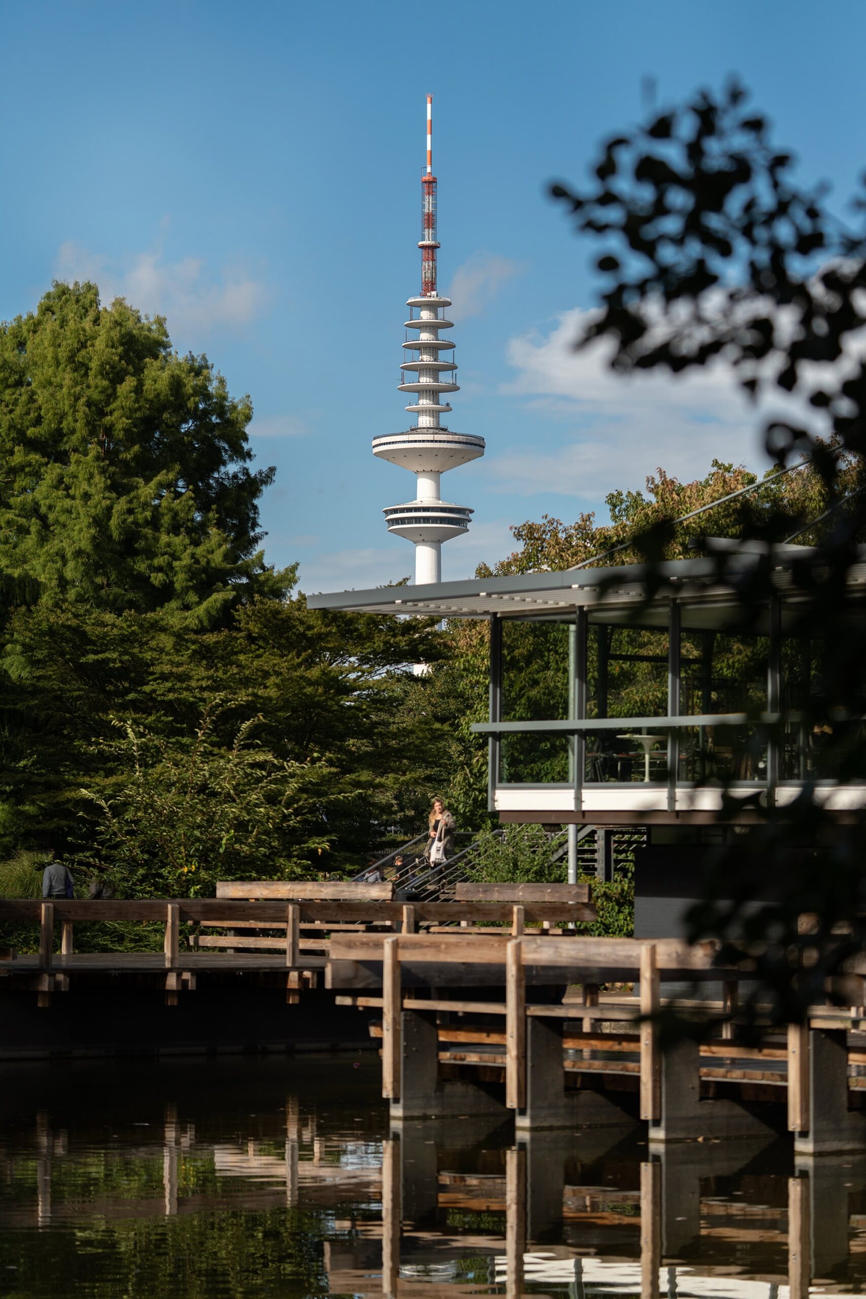 The Heinrich Hertz Turm seen through summer trees at Planten un Blomen