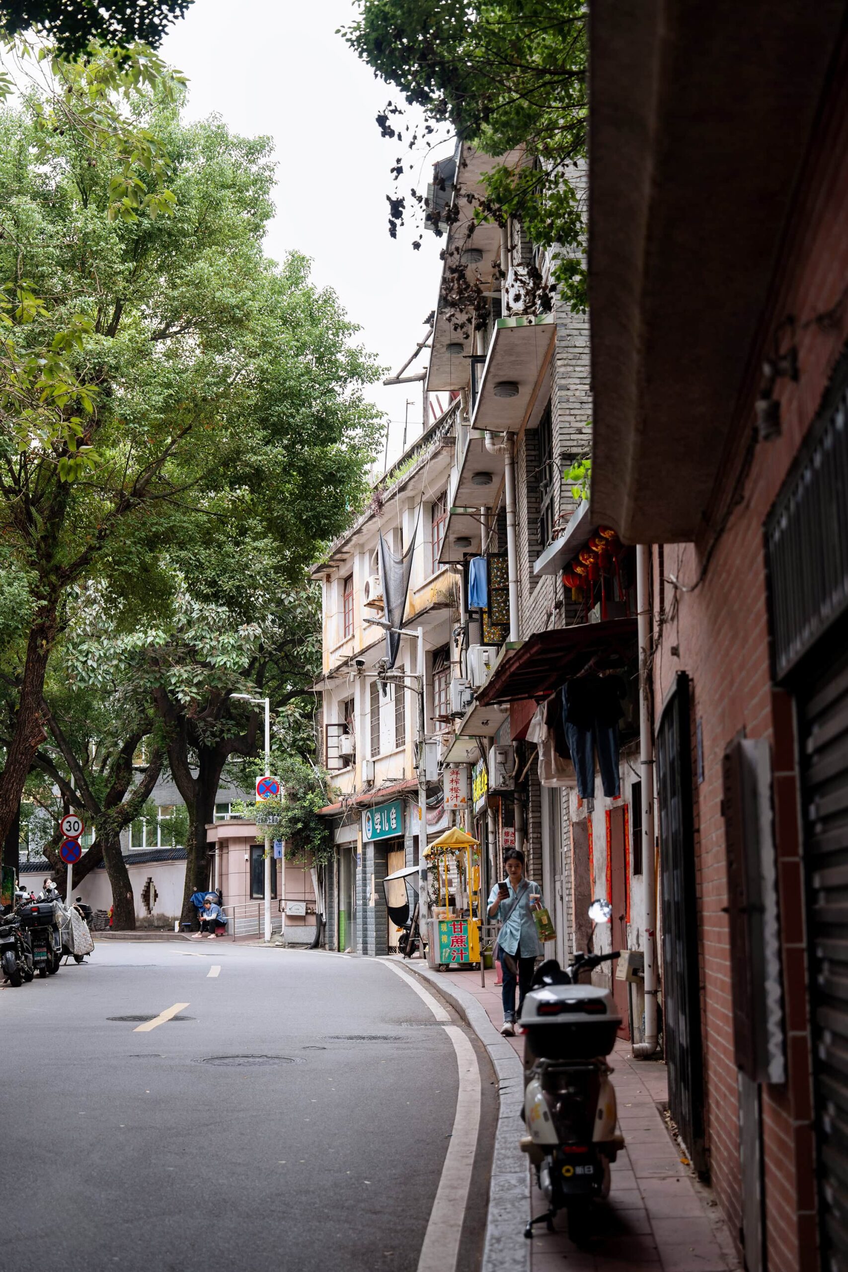 Tree-shaded street with Republic-era buildings on Yantai Hill, capturing everyday life