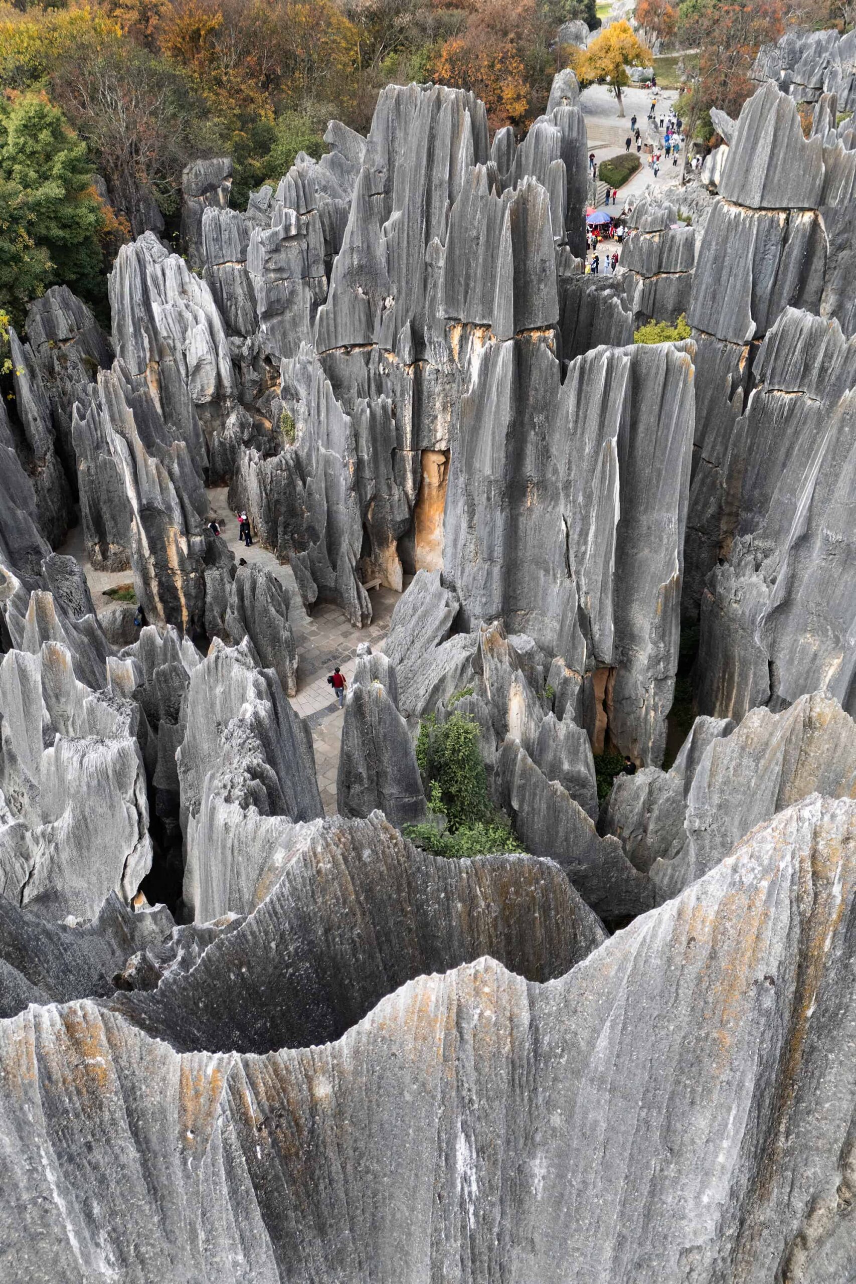 Aerial view of sharp karst pinnacles and walkways in Shilin Stone Forest, China
