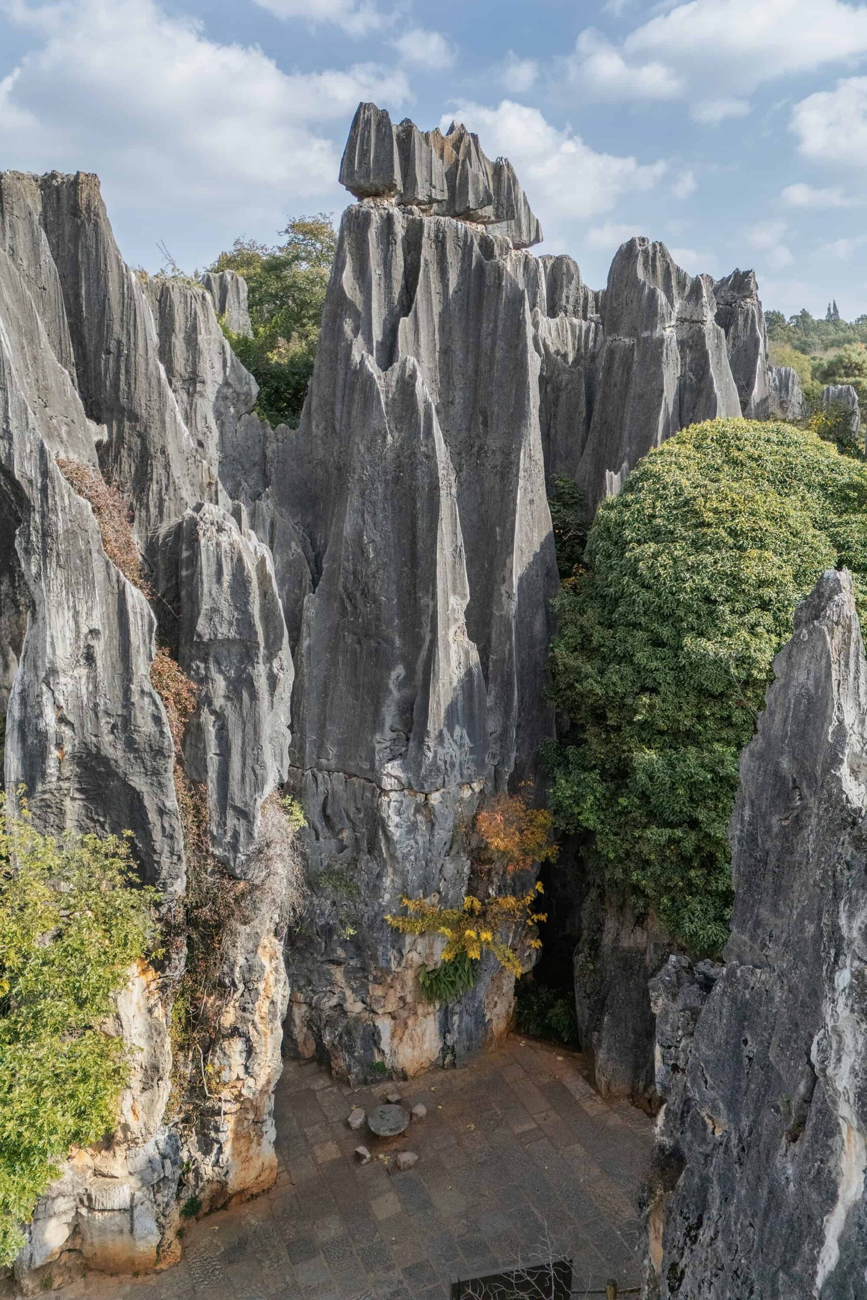 Stone forest canyon path between karst spires and green trees in Shilin, Kunming, Yunnan