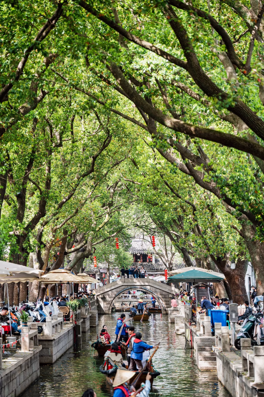 Boats under green trees on canal in Tongli Ancient Town, classic Tongli water town Suzhou scene with stone bridges and riverside cafes