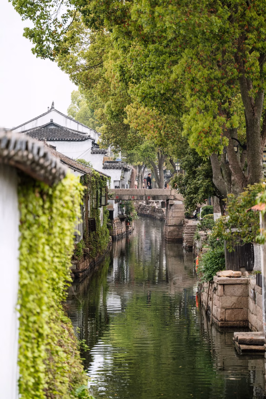 Quiet canal view in Luzhi Ancient Town, a lesser-known Suzhou water town with stone banks, whitewashed walls and leafy trees