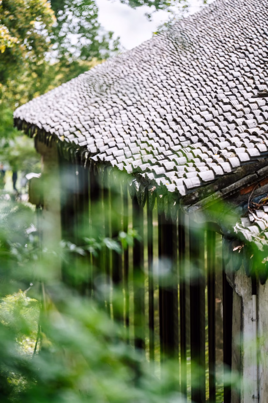 Traditional tiled roof surrounded by lush greenery at Tiger Hill Pagoda Suzhou, historic architecture near Huqiu pagoda