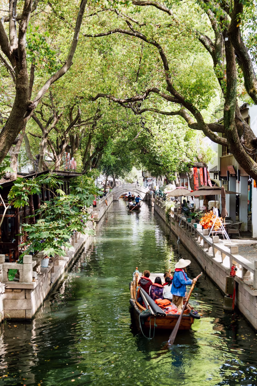Wooden rowing boats on a clear green canal under leafy trees in Tongli Water Town China, a classic Suzhou Tongli water town scene